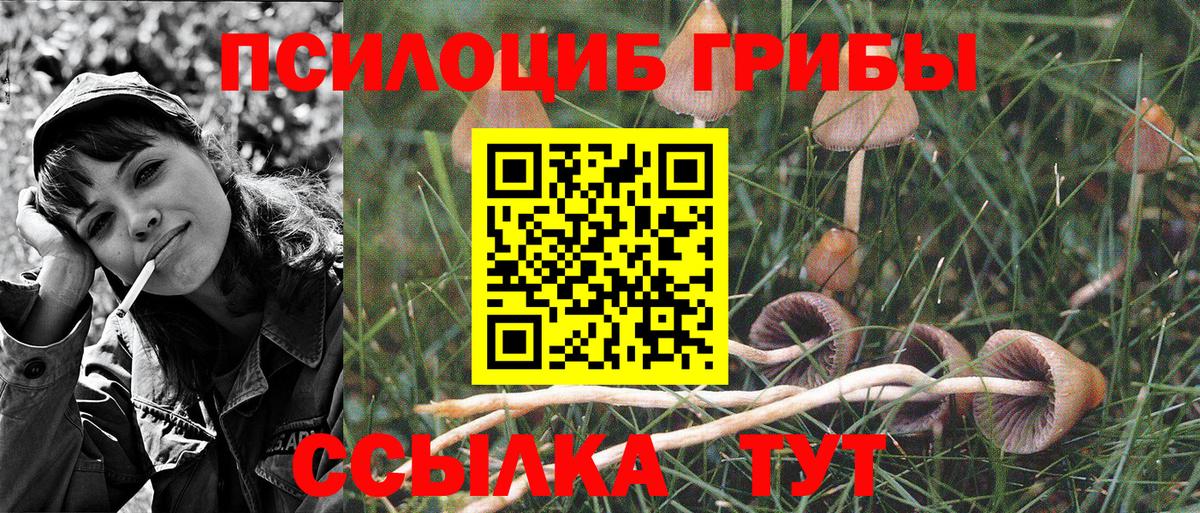 Воркута  Галлюциногенные грибы GOLDEN TEACHER  Вход с VPN  Галлюциногенные грибы Psilocybine cubensis 